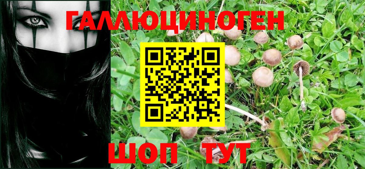 Елизово  Псилоцибиновые грибы Magic Shrooms  цена наркотик  Вход с VPN 